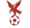 https://img.team4dfx.net/img/football/team/4802d26df935b78bb2fcdbbff36e8864.png