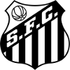 https://img.team4dfx.net/img/football/team/674171a5ca8e8fd3a9784bec35afb185.png